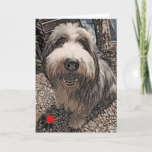 Beardie Happy Birthday Card Kaart