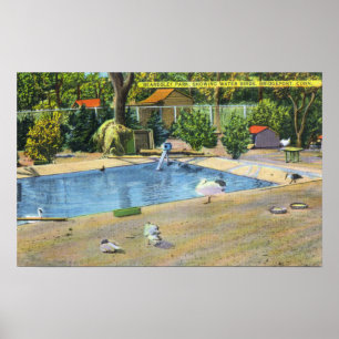 Beardsley Park Uitzicht watervogels Poster