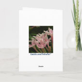 Beardsley  Peacocks Note Kaart (Achterkant)