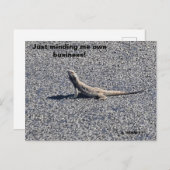 Beardy, terug uit NSW Briefkaart (Voorkant / Achterkant)