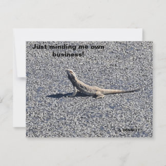 Beardy, terug uit NSW Briefkaart