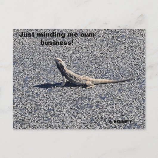 Beardy, terug uit NSW Briefkaart (Voorkant)