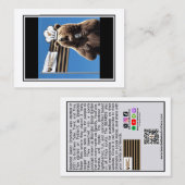 Beared Baker Banter Cartes de trading : Bear Drape (Devant / Derrière)