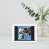 Beared Baker Banter Cartes de trading : Bear Drape (Debout devant)