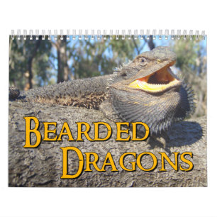 Beared Dragons Wall Agenda Kalender