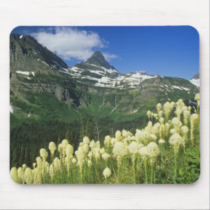 Beargrass bij Logan Pass in Gacier National Muismat