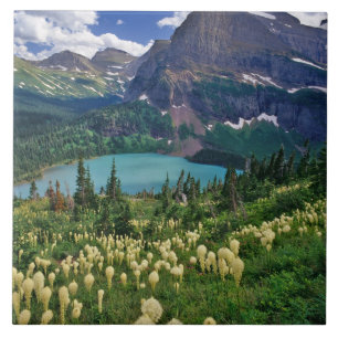 Beargrass boven Grinnell Lake in de Many Tegeltje