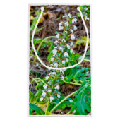 Bear's Breeches Klein Cadeauzakje (Achterkant)