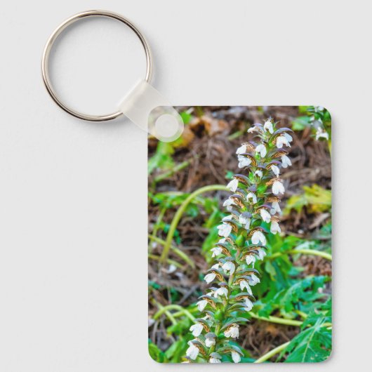 Bear's Breeches Sleutelhanger (Voorkant)