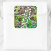 Bear's Breeches Vierkante Sticker (Tas)