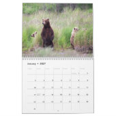 Bears of Brooks Falls - Calendrier 2021 (Jan 2027)