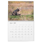 Bears of Brooks Falls - Calendrier 2021 (Mar 2027)