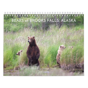 Bears of Brooks Falls - Calendrier 2021