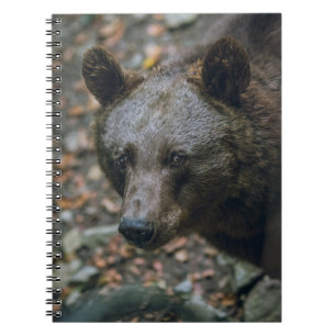 BEARY THOUGHTS NOTITIEBOEK