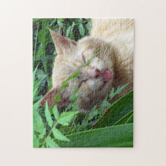 Beast, het liefste zwerfkat - puzzel legpuzzel (Verticaal)