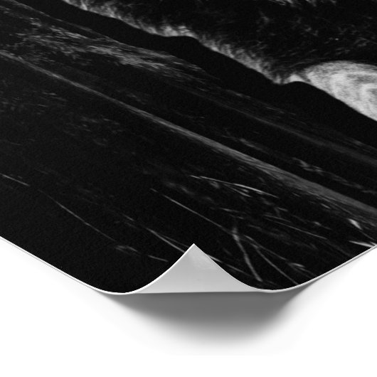 BEAST Lion Print, Value Poster Paper (Semi-Gloss) (Coin)