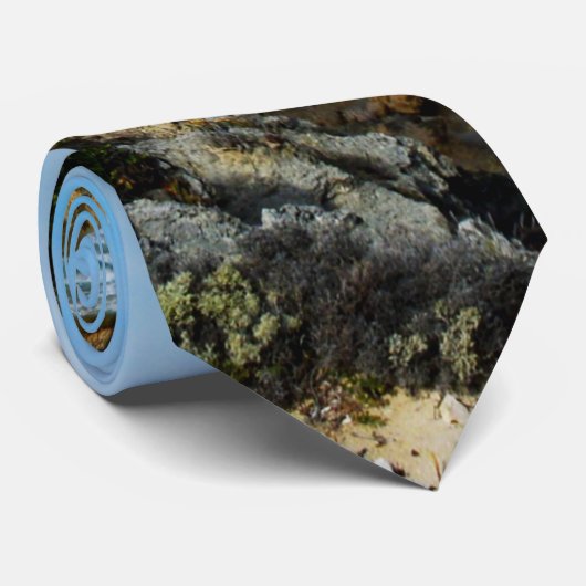 Beat Of The Ocean, Cravate (Roulé)