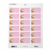 Beatrix Potter, Aangepast, Waterflesetiket Etiket (Full Sheet)