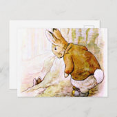 Beatrix Potter - Bunny Illustration Briefkaart (Voorkant / Achterkant)