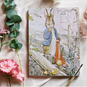 Beatrix Potter Het verhaal van Benjamin Bunny Pete Briefkaart