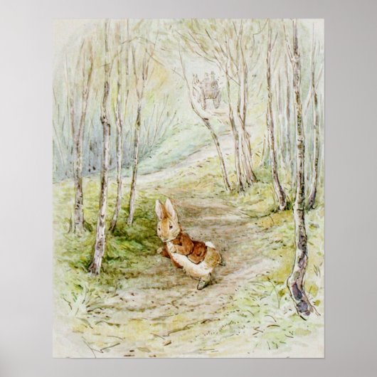 Beatrix Potter Het verhaal van Benjamin Bunny Poster (Voorkant)