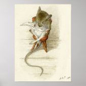 Beatrix Potter Mouse Reading Newspaper Poster (Voorkant)