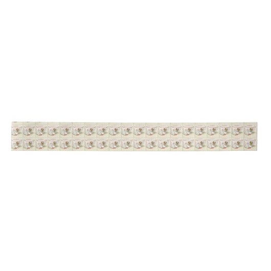 Beatrix Potter satijn lint, 2 yard spoel Lint (Voorkant)