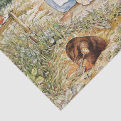 Beatrix Potter Schattigee Peter de Konijn en Vrien Tissuepapier (Detail)