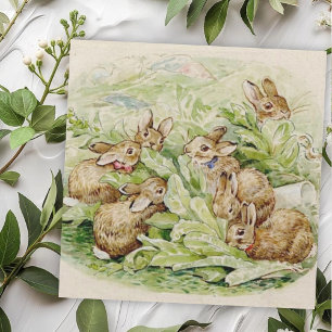 Beatrix Potter Tale of the Flopsy Bunnies Notitiekaartje