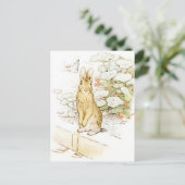 Beatrix Potter uit The Tale of Peter the Rabbit Briefkaart (Staand voorkant)