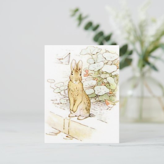 Beatrix Potter uit The Tale of Peter the Rabbit Briefkaart (Staand voorkant)