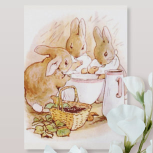 Beatrix Potter uit The Tale of Peter the Rabbit Briefkaart