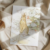 Beatrix Potter uit The Tale of Peter the Rabbit Briefkaart