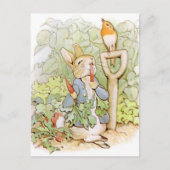 Beatrix Potter uit The Tale of Peter the Rabbit Briefkaart (Voorkant)
