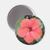 Beau Aimant à fleur d'Hibiscus orange (Recto/Verso)