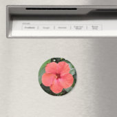 Beau Aimant à fleur d'Hibiscus orange (In Situ (Lave-vaisselle))
