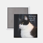 Beau aimant de chat (Recto/Verso)