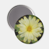 Beau aimant Marigold Jaune (Recto/Verso)