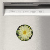 Beau aimant Marigold Jaune (In Situ (Lave-vaisselle))