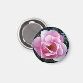 Beau aimant rose rose rose (Recto/Verso)