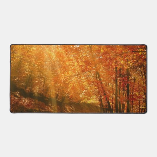 Beau automne (Recto)