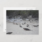 Beau Bahamas Briefkaart (Voorkant / Achterkant)