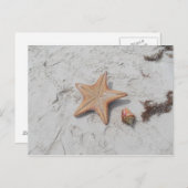 Beau Bahamas Starfish Shell Briefkaart (Voorkant / Achterkant)