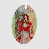 Beau bébé Boston Terrier de la moitié du siècle (devant)