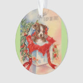 Beau bébé Boston Terrier de la moitié du siècle (devant)