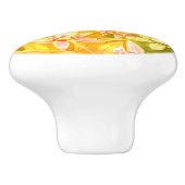 Beau bouton de porte en céramique pour aquarelle (Côté)