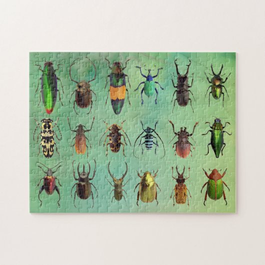 Beau Bugs Beetle Mania Puzzle (Horizontal)