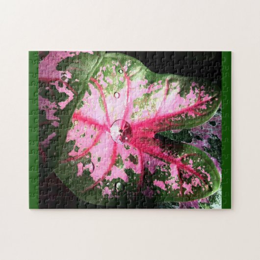 Beau caladium rose Puzzle (Horizontal)