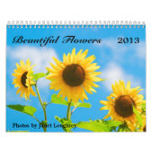 Beau calendrier 2013 de fleurs (Protection)