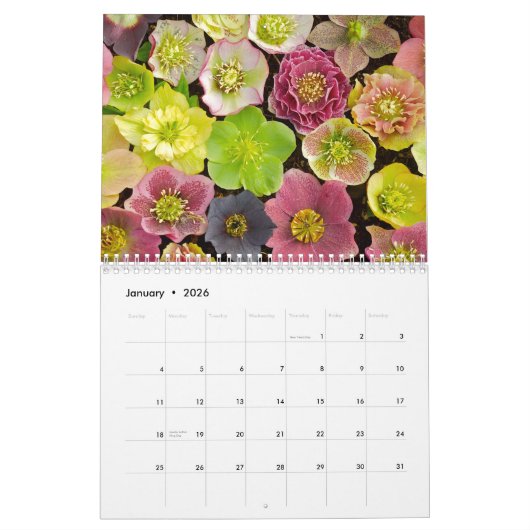 Beau calendrier 2013 de fleurs (Jan 2026)
